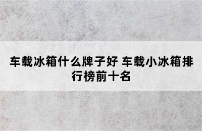 车载冰箱什么牌子好 车载小冰箱排行榜前十名